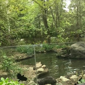 Meet your Posher, Sabattini